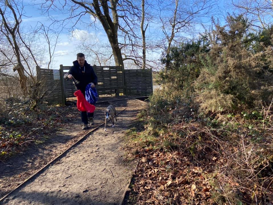 Jett very much on lead at the bird hide