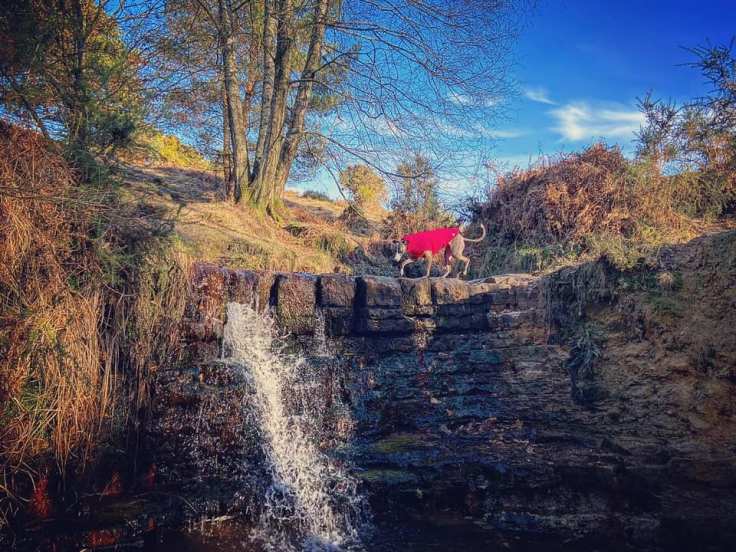 Jett at Garden of Eden waterfall