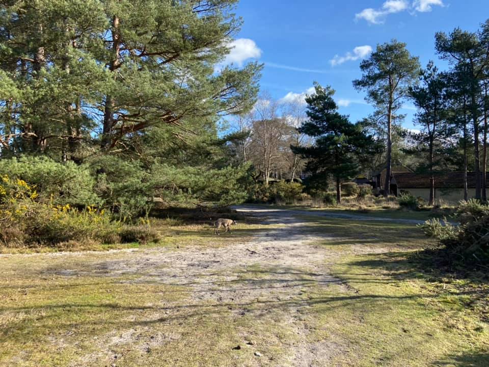 Follow the path all the way to the end and turn left 