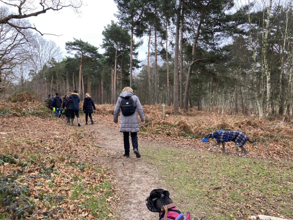Turn left, noting the marker post on the right