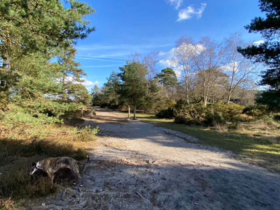 Go through the barriers