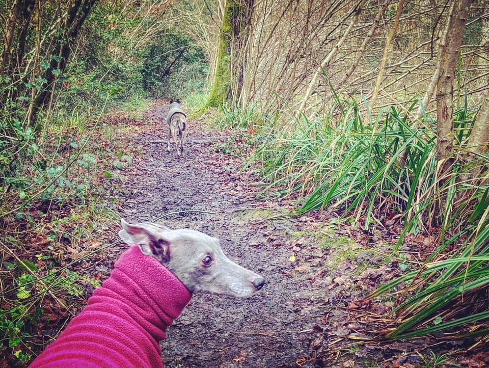Little path goes along the side of the pool