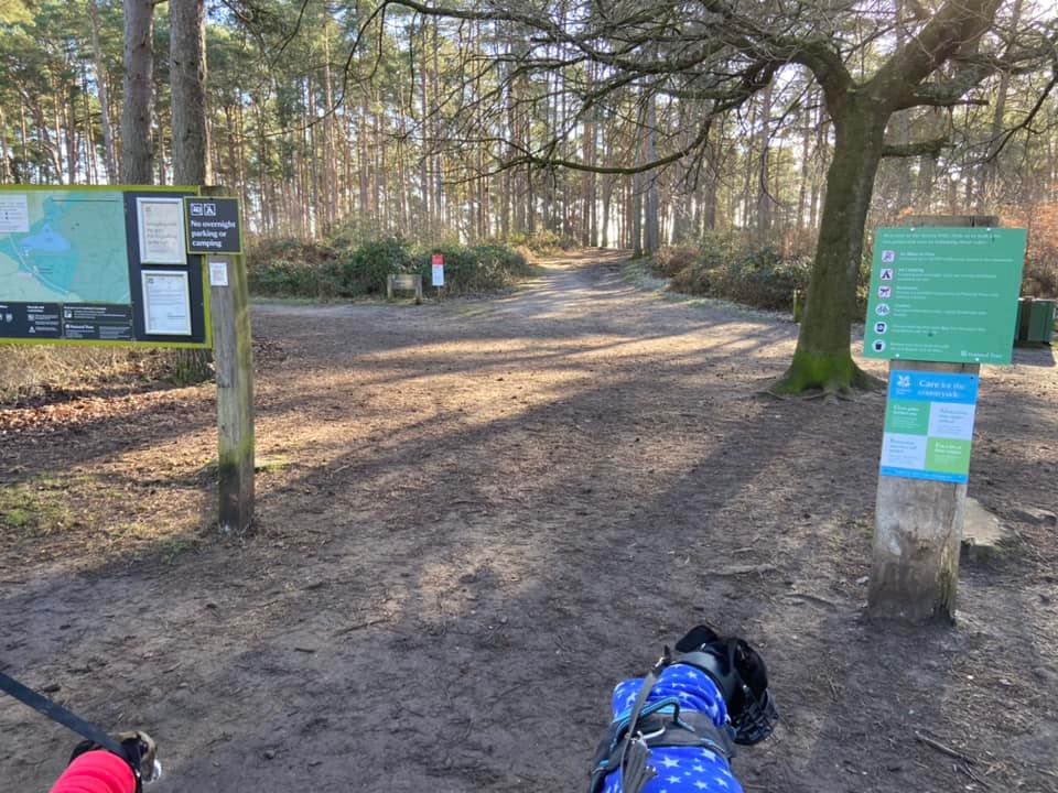 Path from pay machine and information board