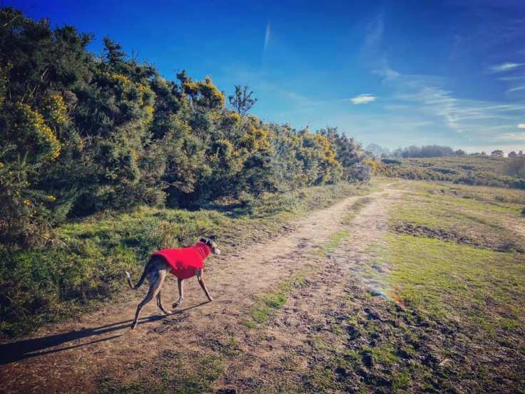 Walk along the main ride