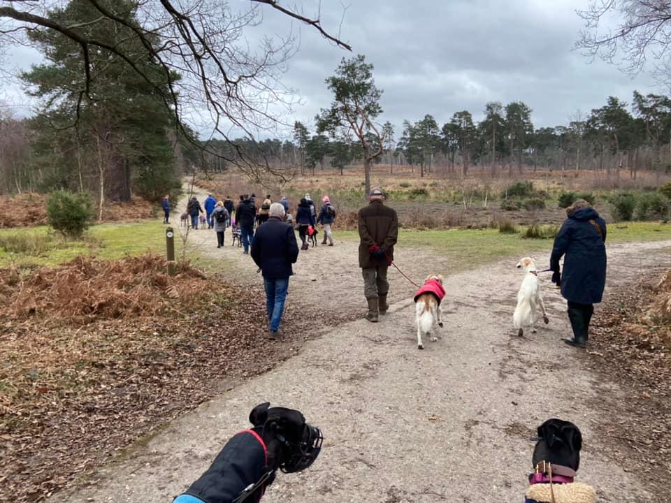 Come off at the corner, where the surfaced path bends to the right - you want to bear left/straight ahead here instead