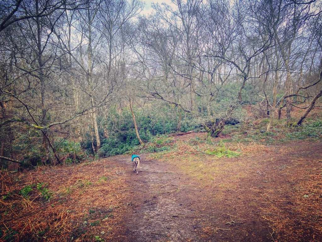 Bear to the left at the triangular fork