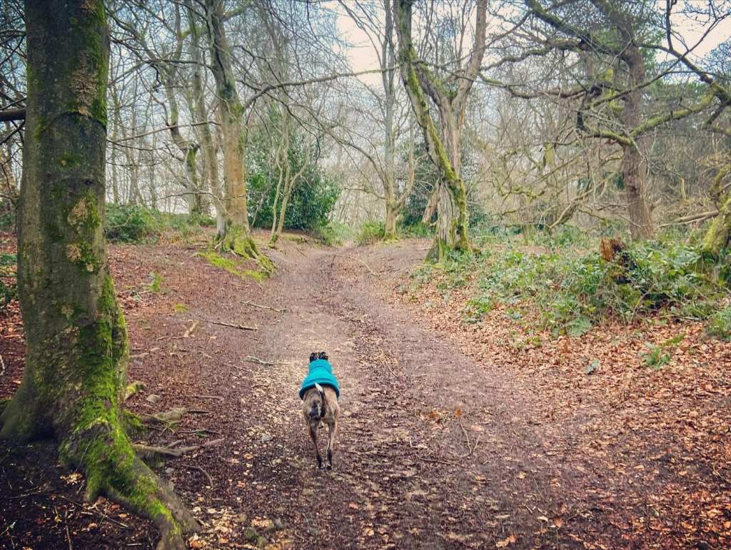 Turn right and go up the slope