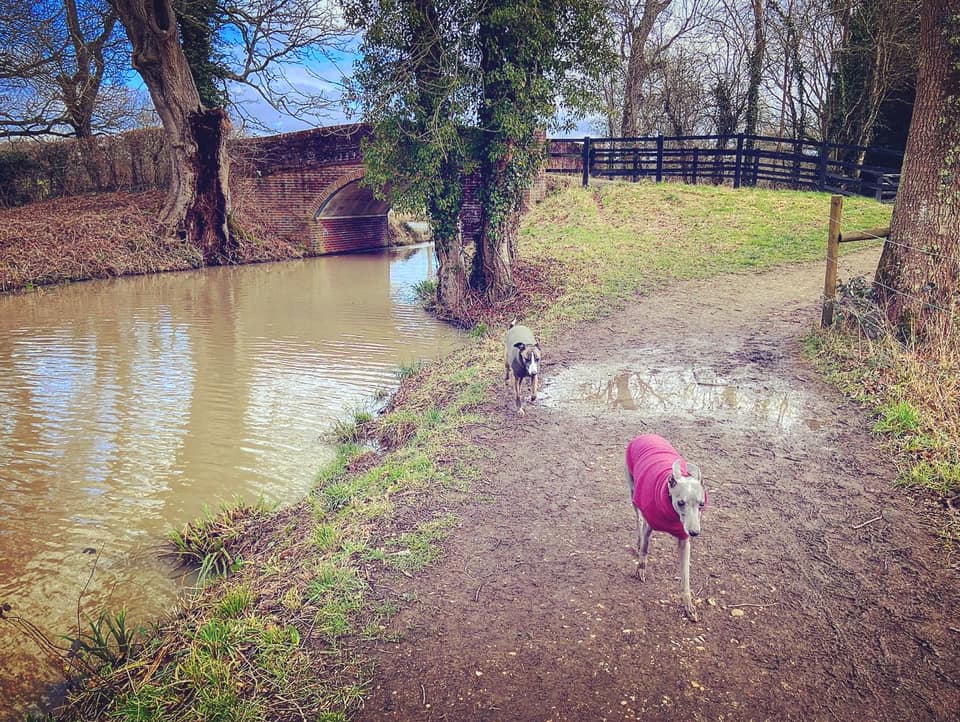 Bridge carrying a small lane over the canal