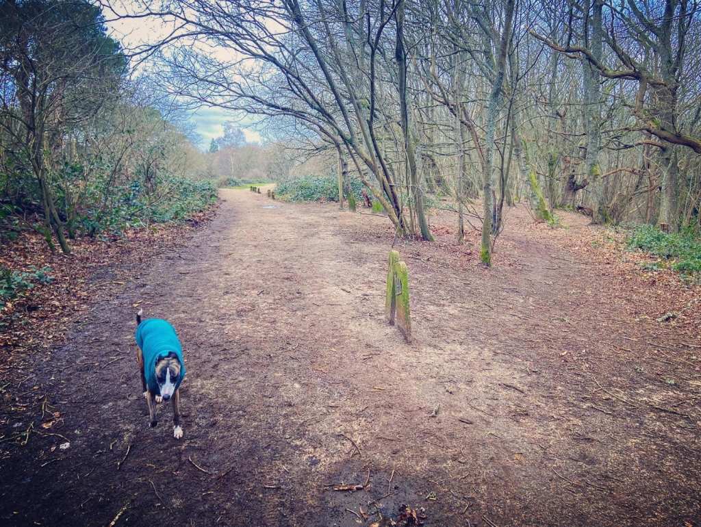 Two metal markers on the right