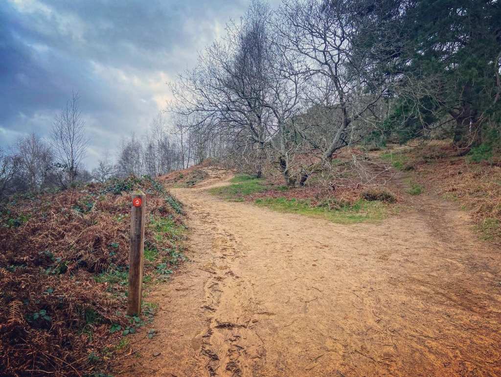 Pass the orange marker