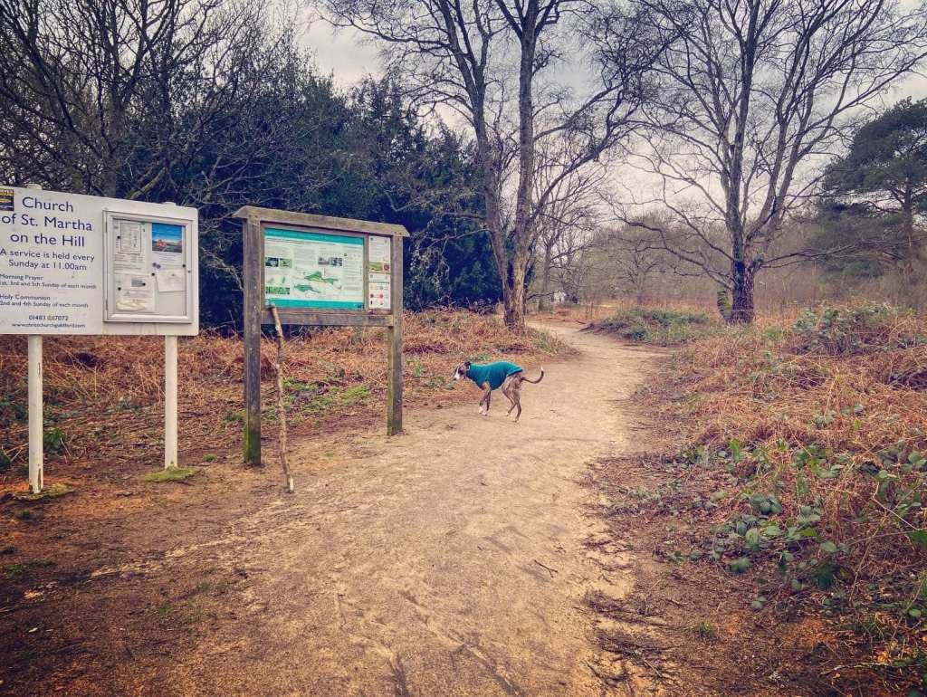 Turn right at the information board and take the sandy path