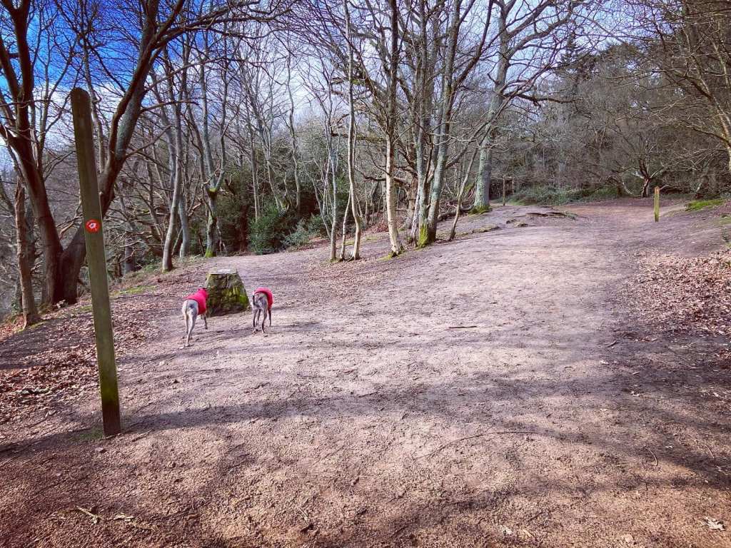 Pass to the right of the Downs Link market stone