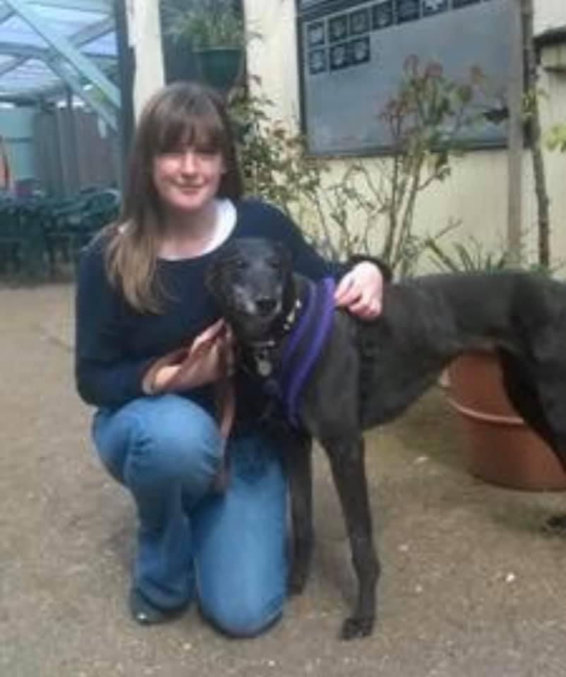 30 April 2016, Gotcha Day