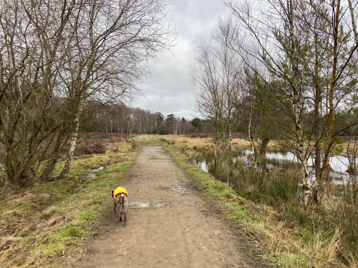 Path here is higher and largely dry