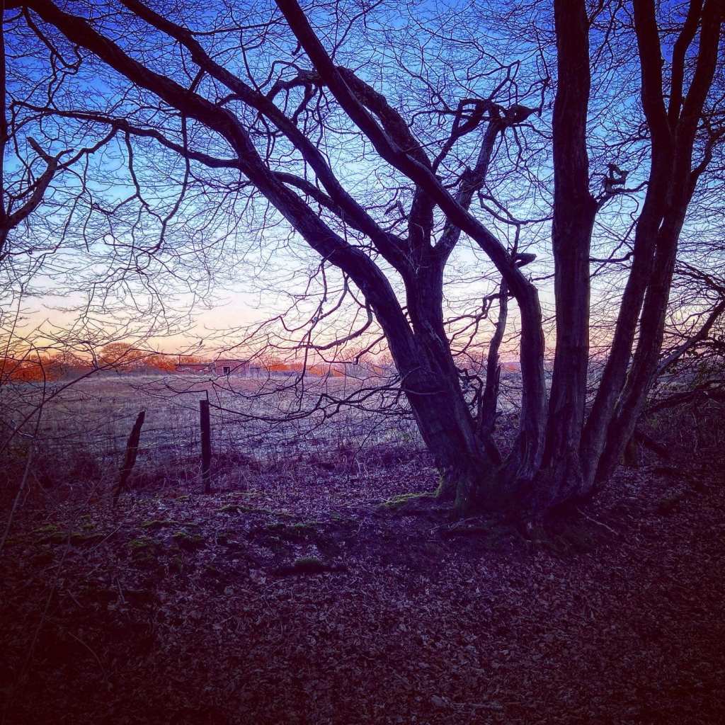 Disused radar station!