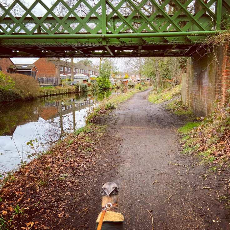 Under the green bridge