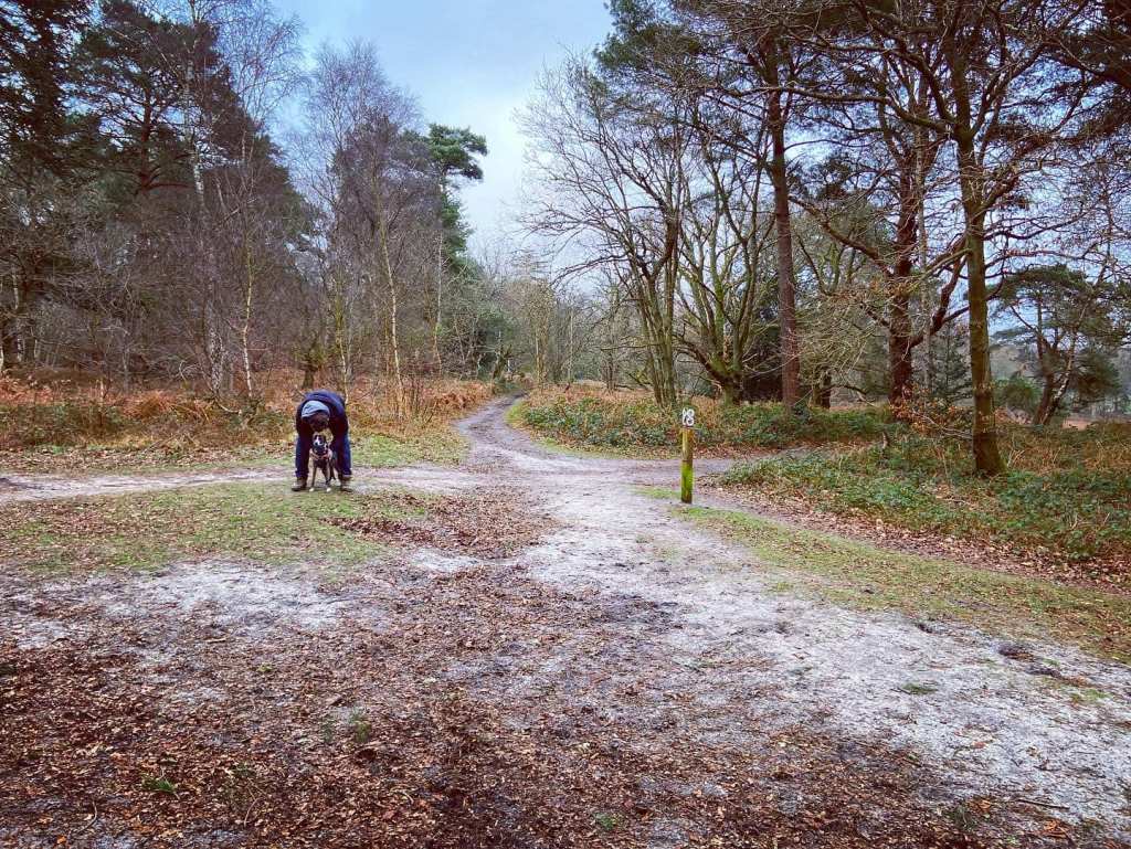 Turn right immediately after the post at the intersection of multiple paths