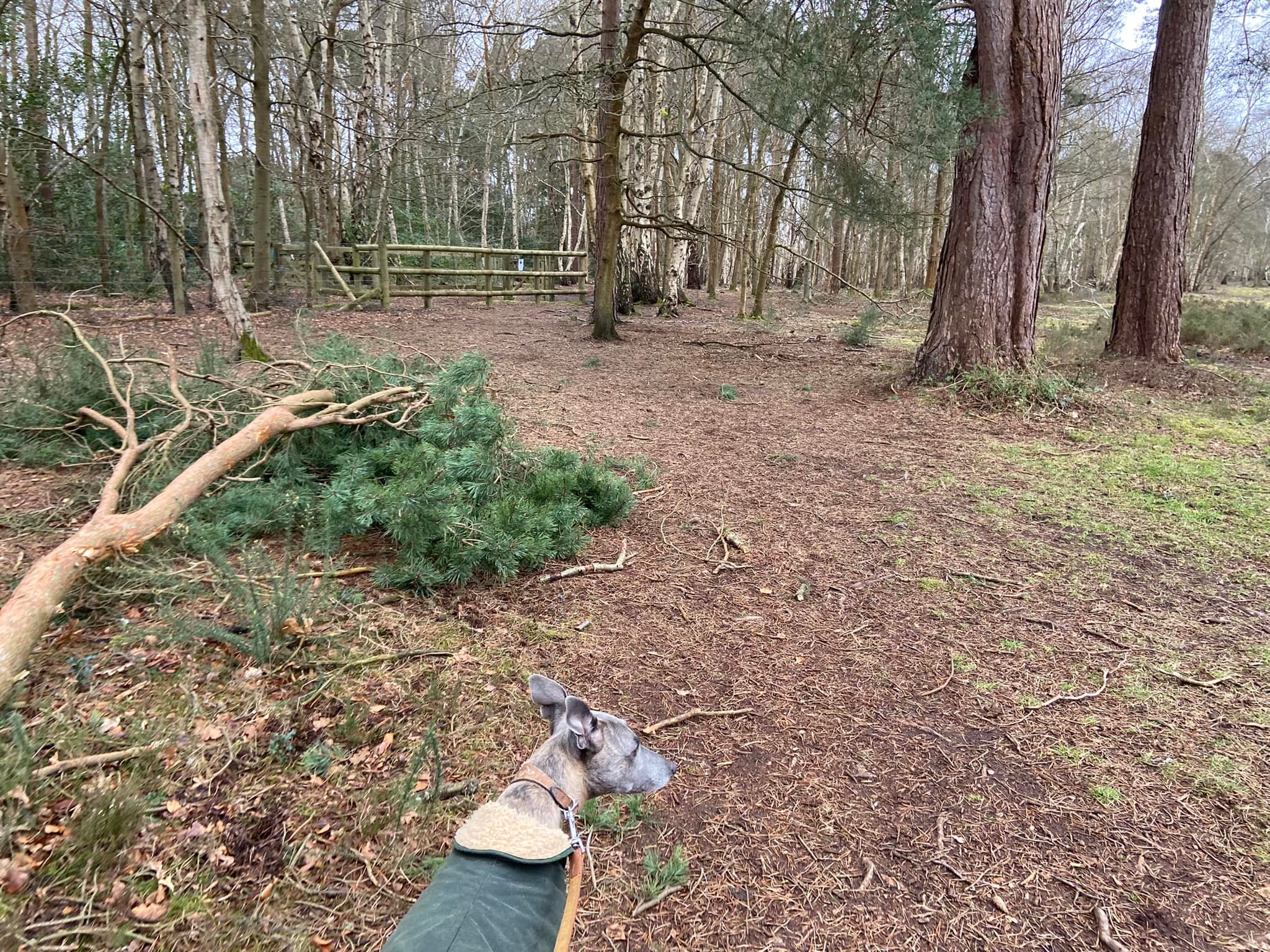 Pass the double-gated animal enclosure