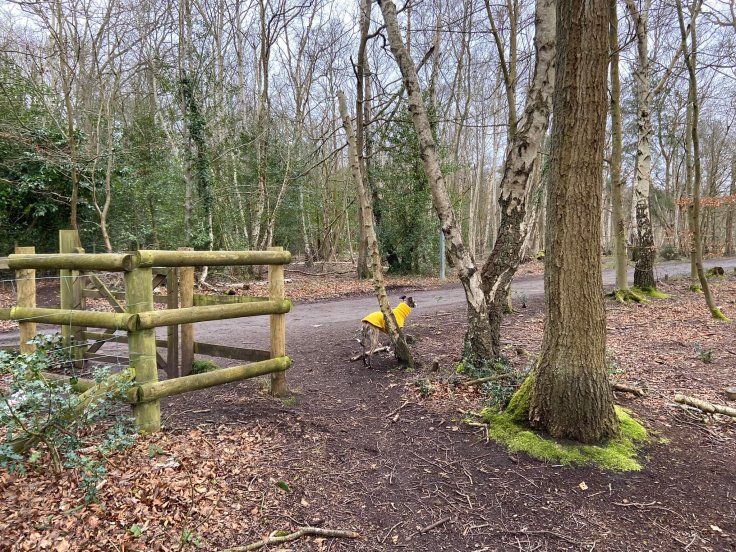 Straight over the access road