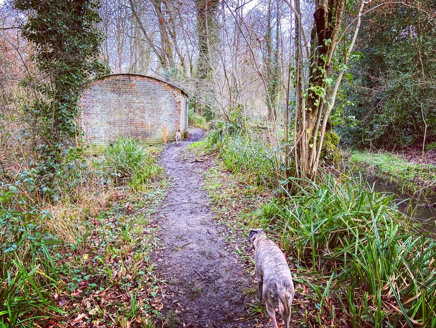 Expense magazine on the left