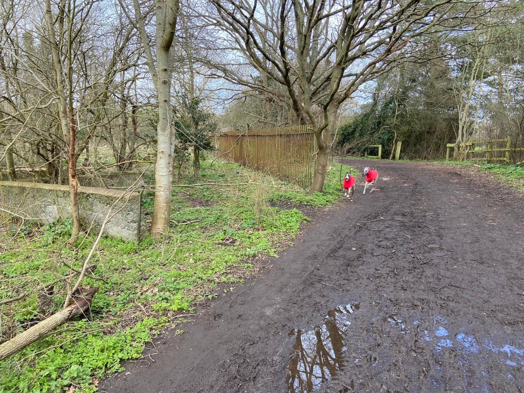 Stone structure and railings