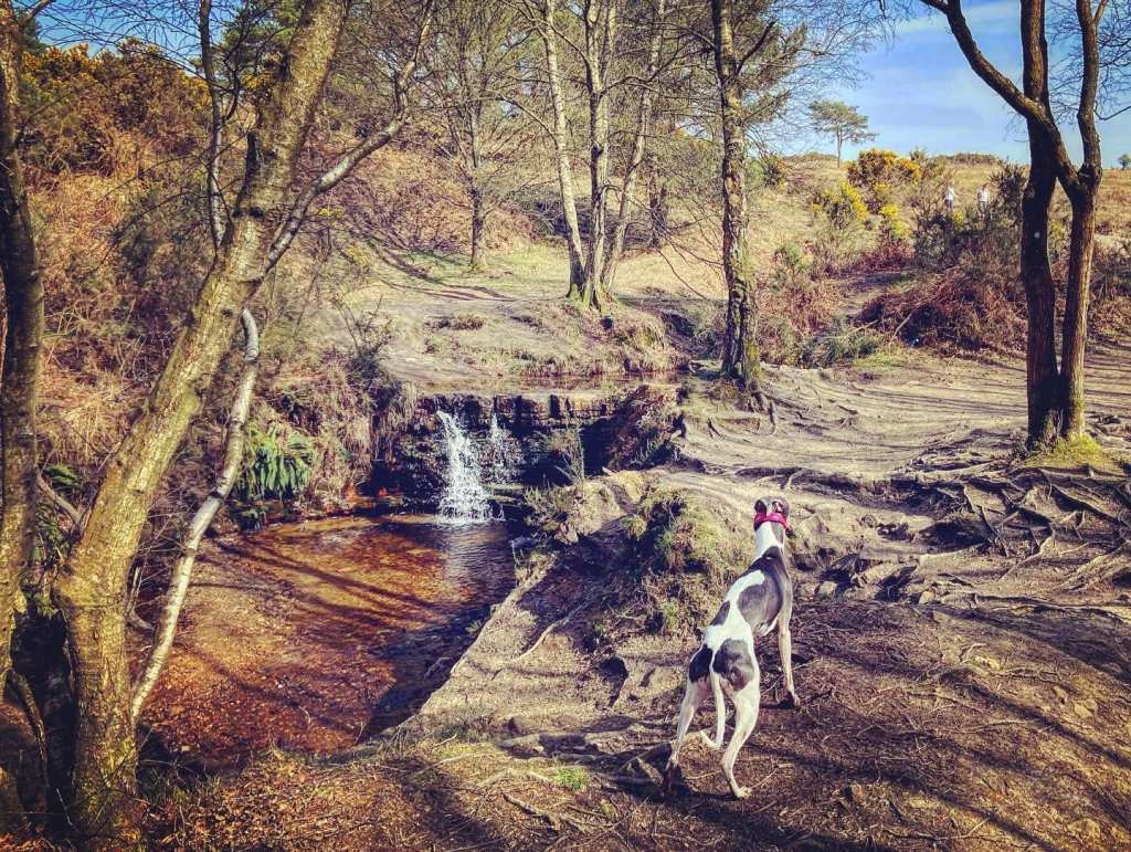 Garden of Eden waterfall ahead