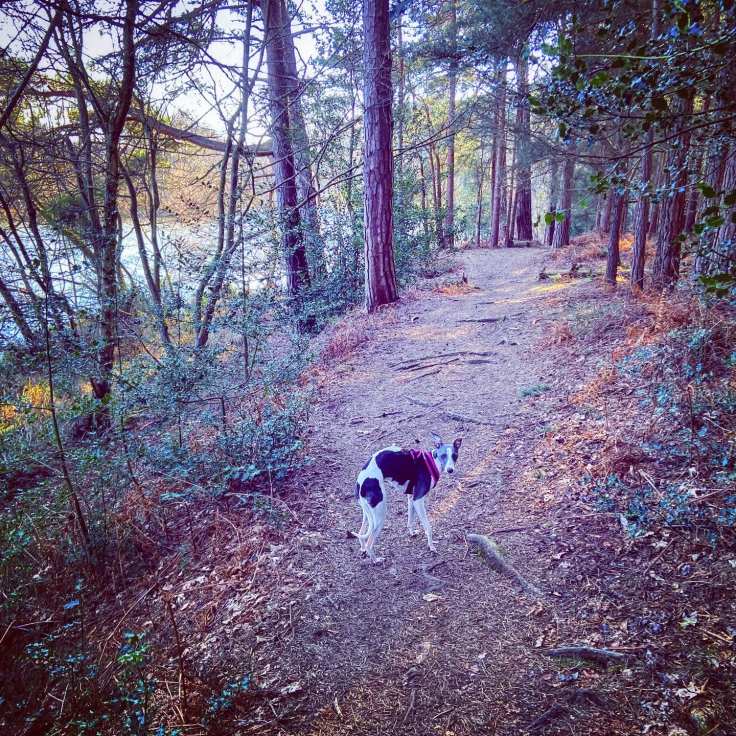 Forked Pond on the left