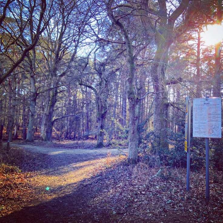 Go left after the white bylaws sign