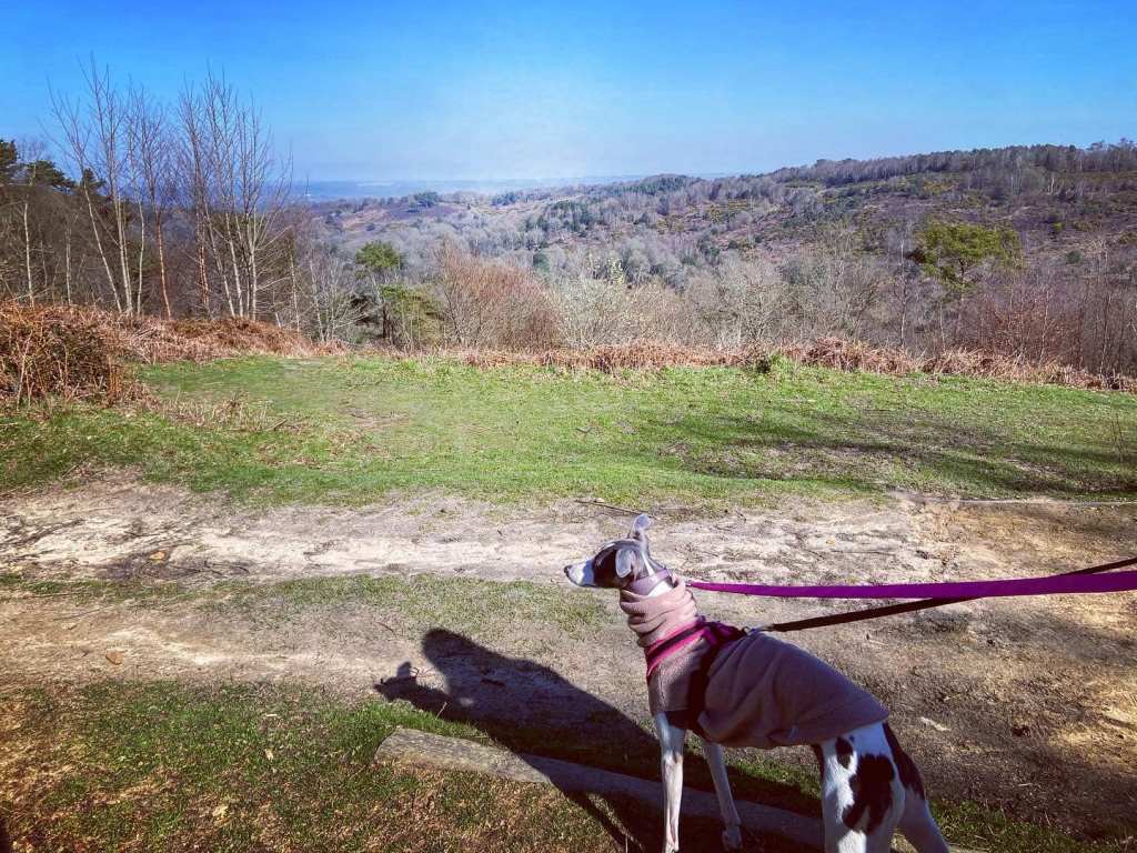 View of the Devil's Punchbowl from the viewpoint