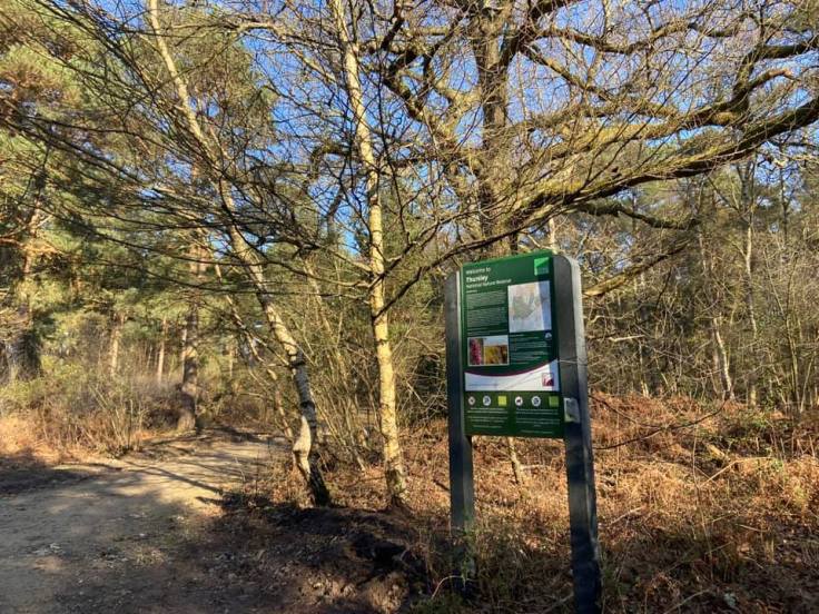 Ignore the path off to the right at the Thursley Nature Reserve board and continue straight on the main sandy bridlepath