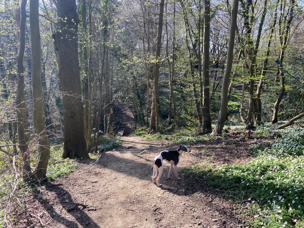 Down the steps, over the bridge, up the other side