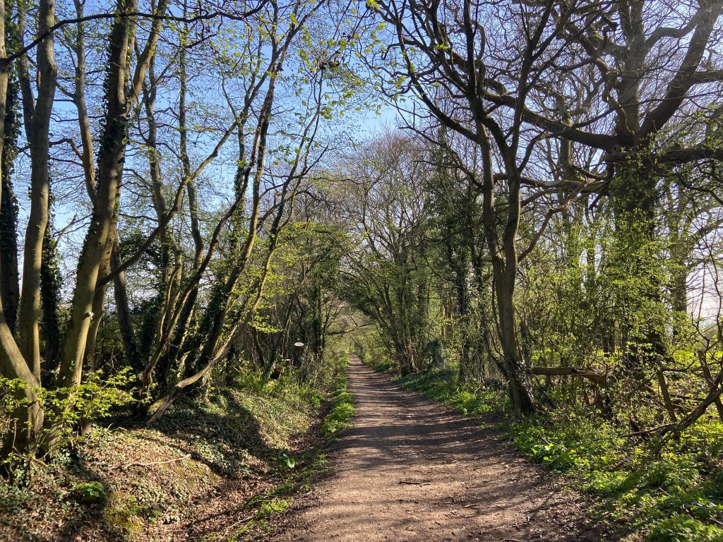 Walk down the track that is Wilmot's Lane