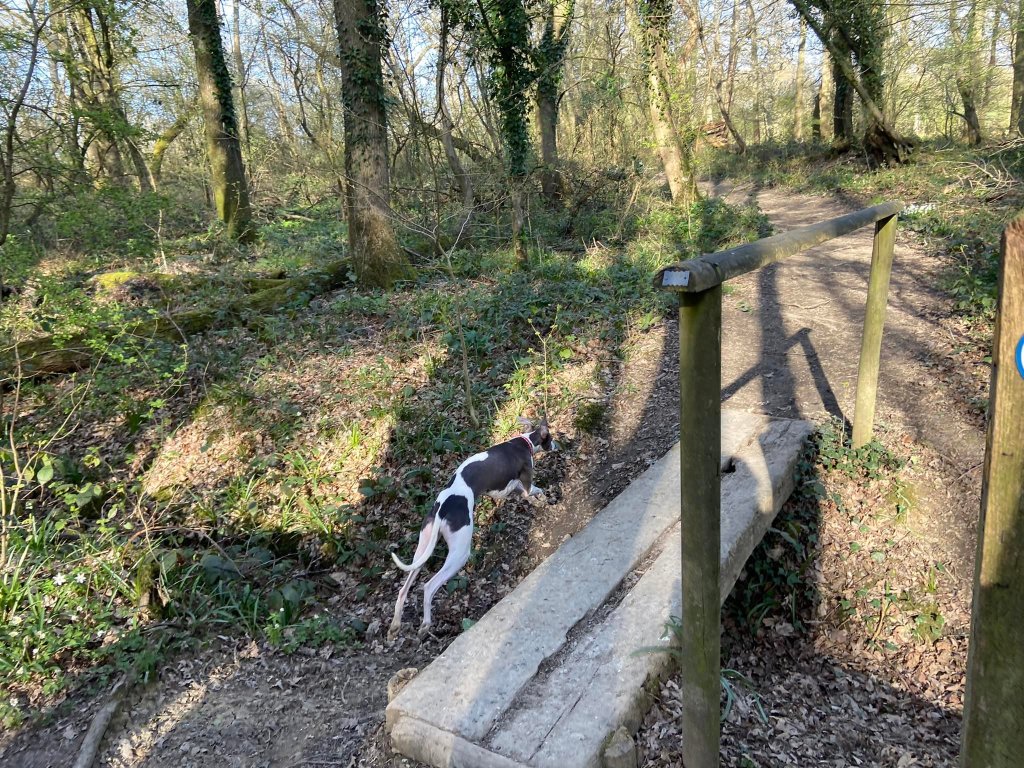 Cross the bridge on the right