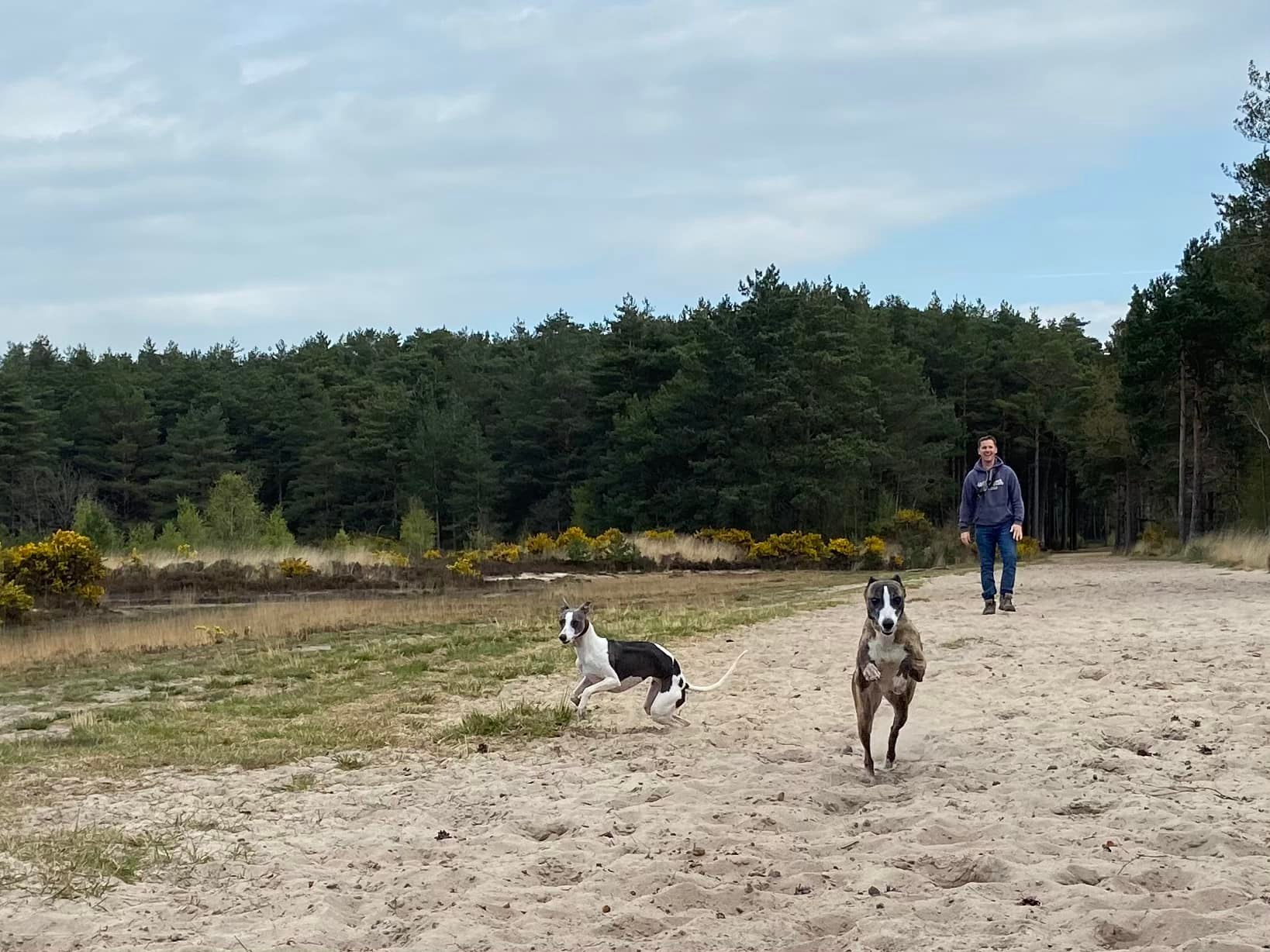 Jett and Millie going a bit giddy on the sandy ride