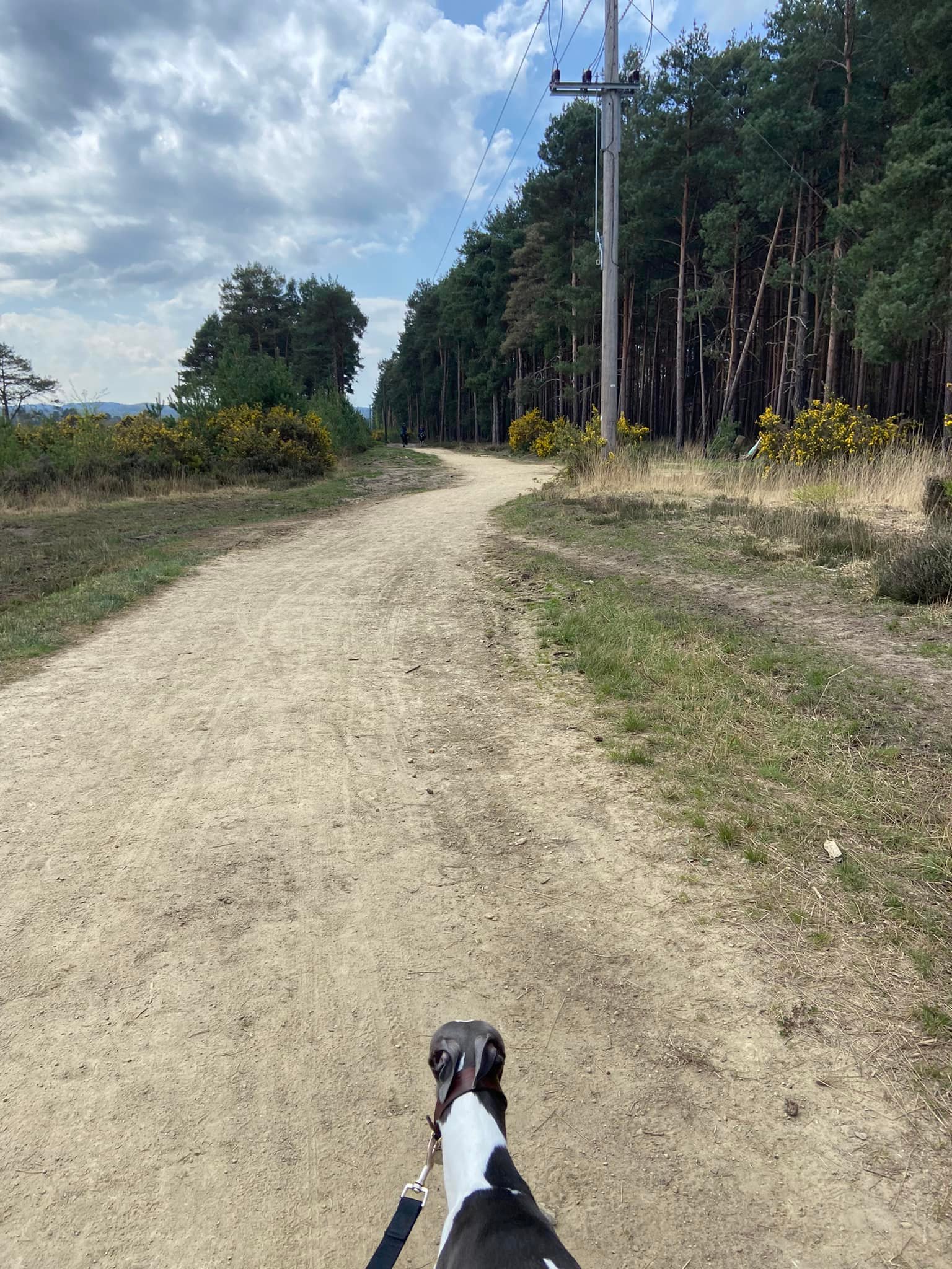 Follow the pylons overhead