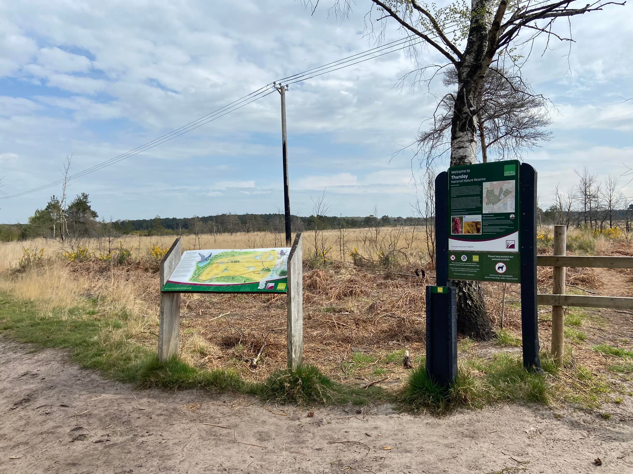 Information boards on the right