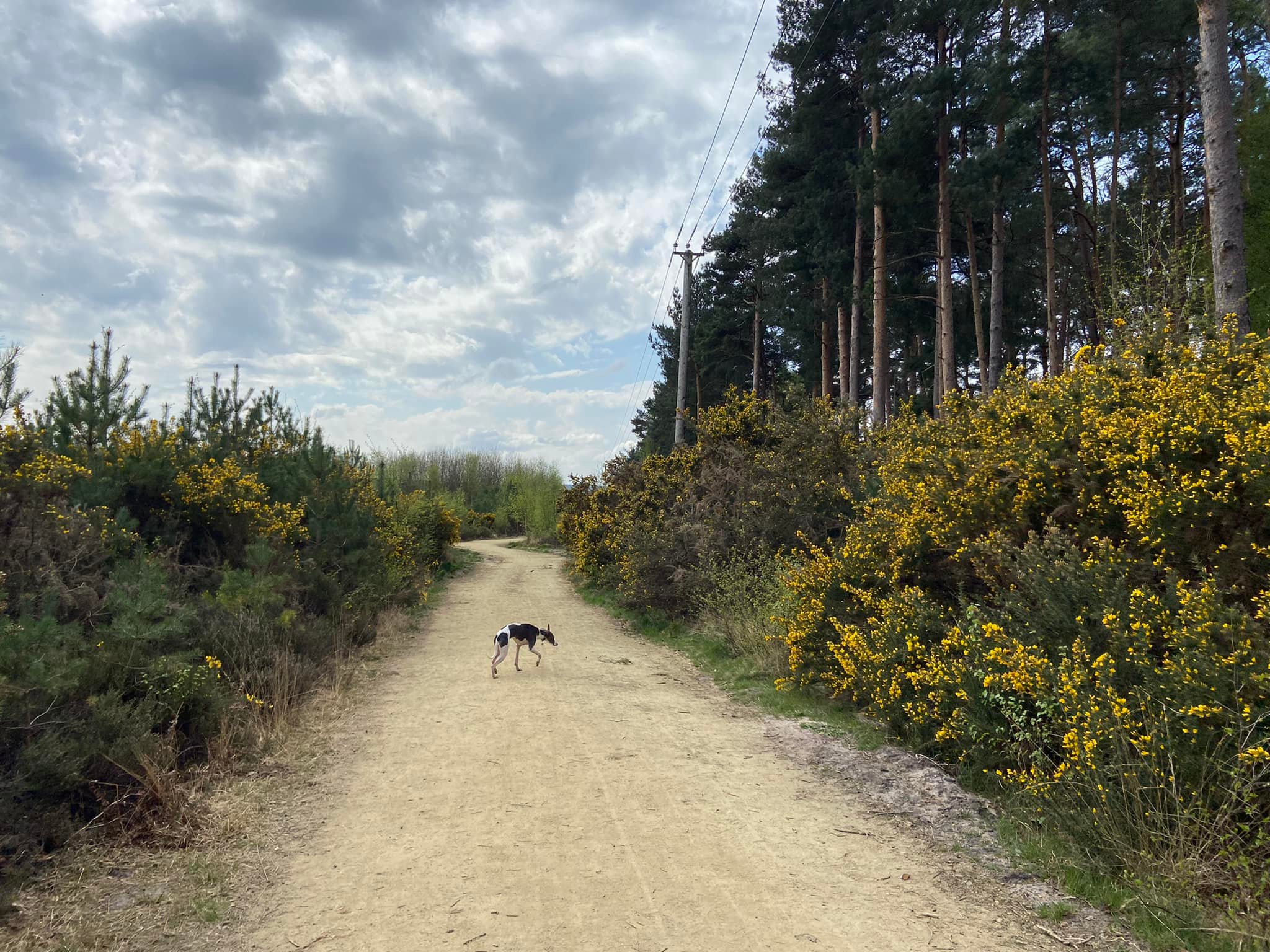 Follow the pylons overhead