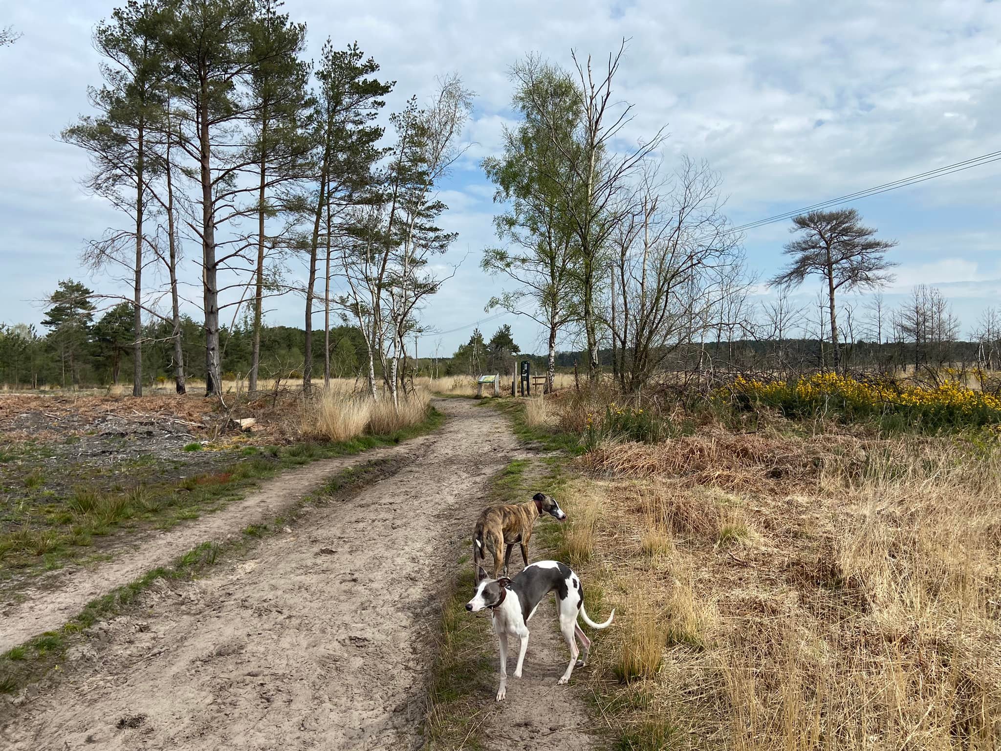 Pass the information boards