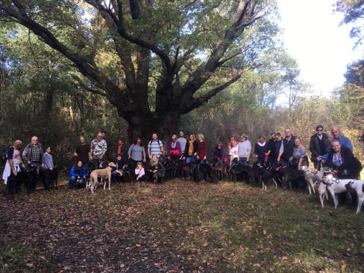 Another shot of SSWG at the Wishing Tree