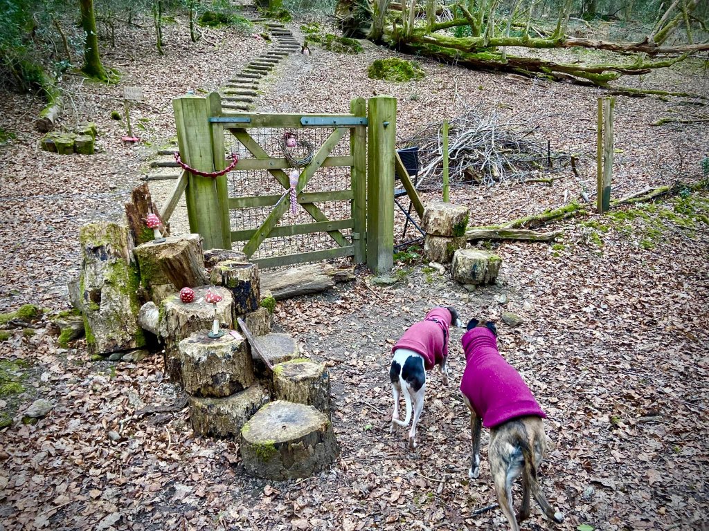 Ignore all the gates on the left