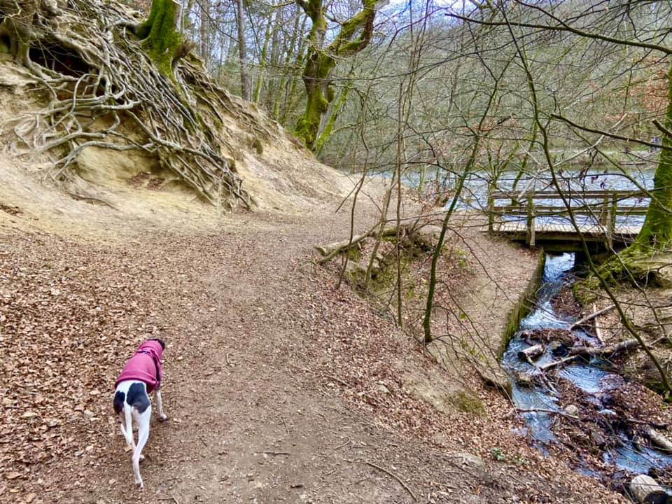 Go straight past the bridge off to the right