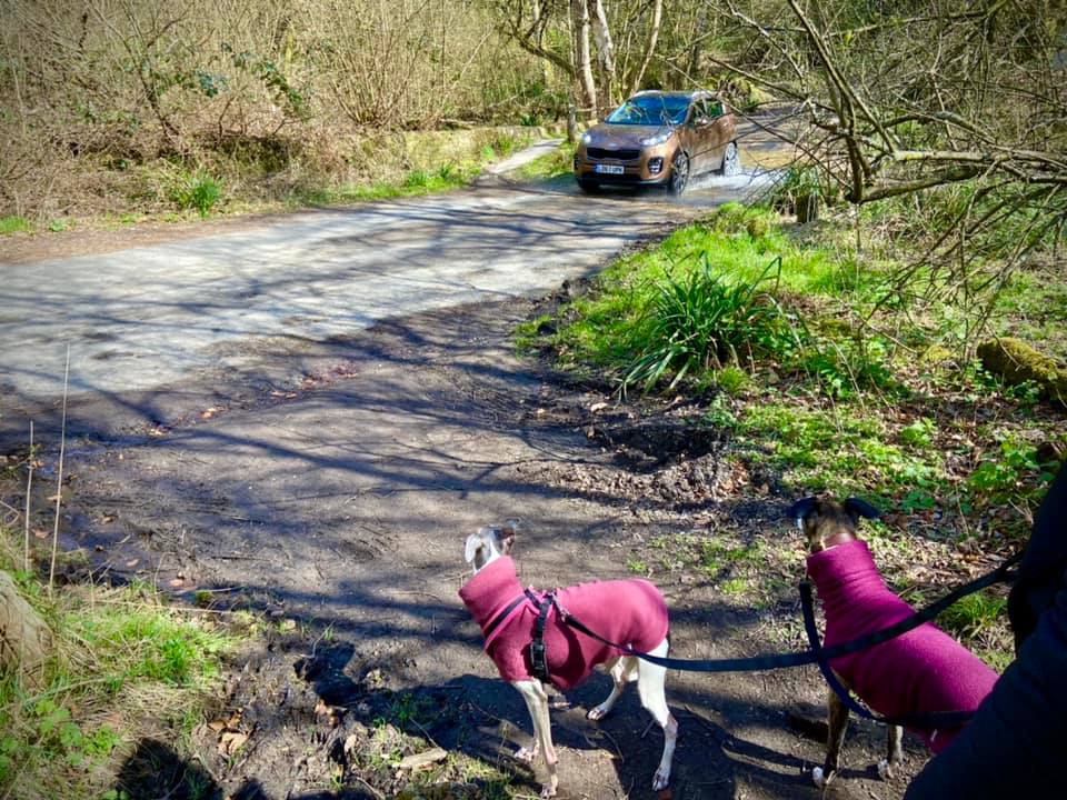 Turn right at the lane