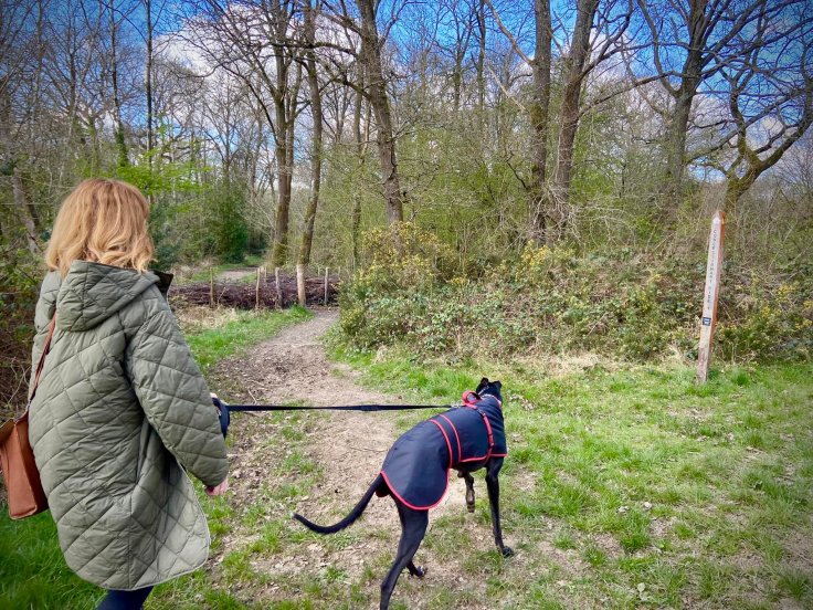 Turn right through the stick barrier slalom