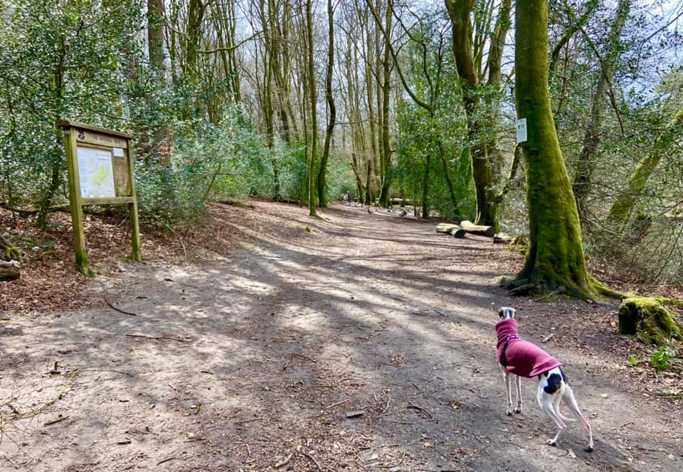 Left at the information board