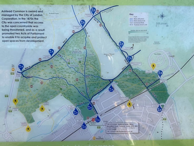Map of Ashtead Common