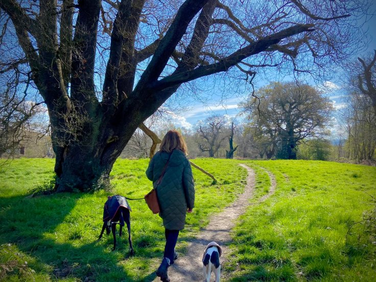 Laura, dancing queen Ollie and whippet Millie pass King Oak