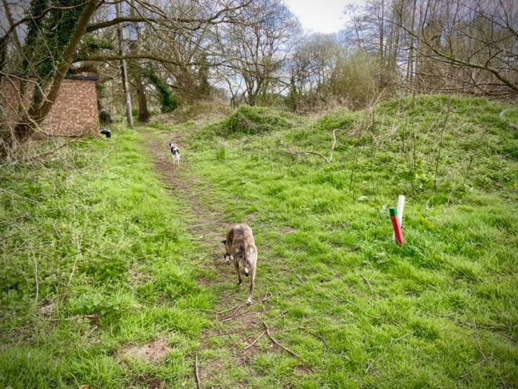 Exit the golf course by a little path to the right at the corner