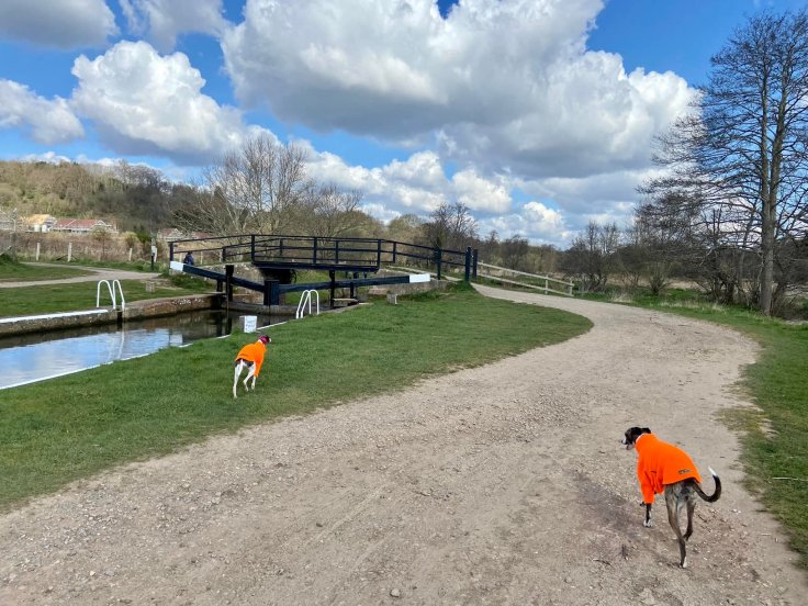 Cross St Catherine's Lock