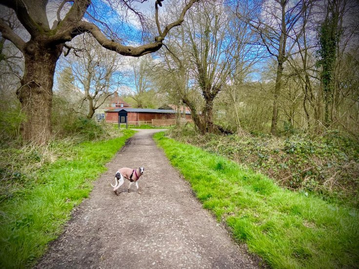 Stony path back to the start