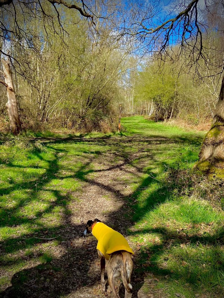 Straight ahead at the cross paths by the tall marker with the yellow arrow